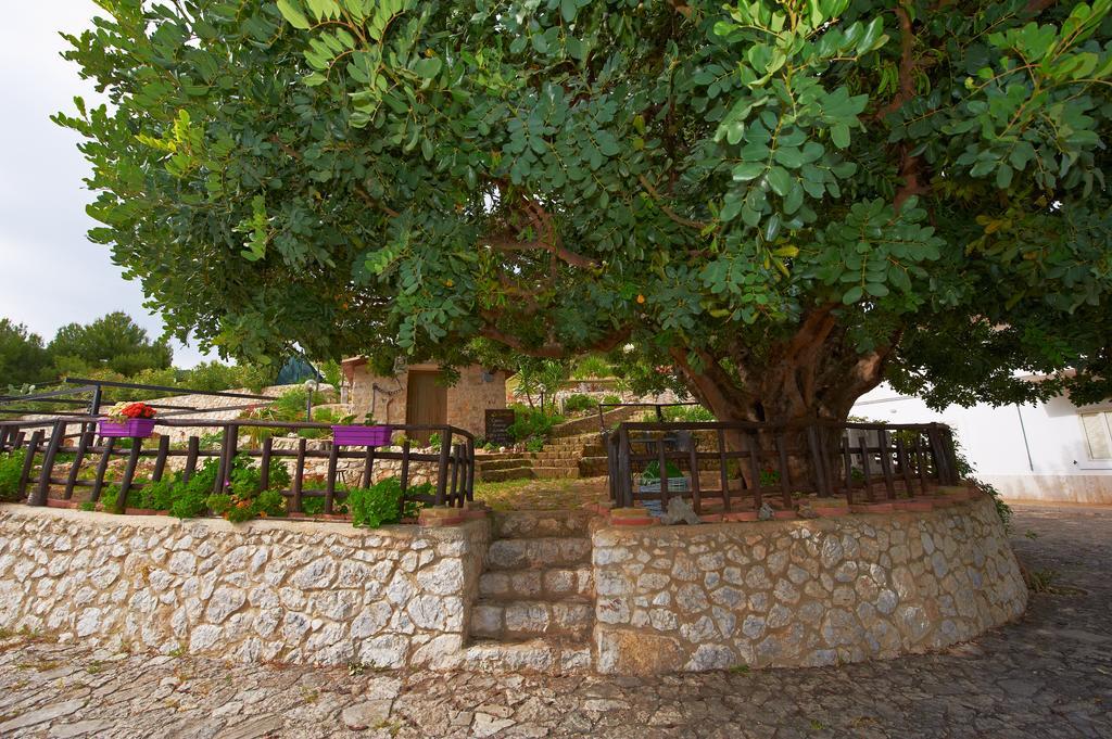 B&B La Scapola Mattinata Exterior foto