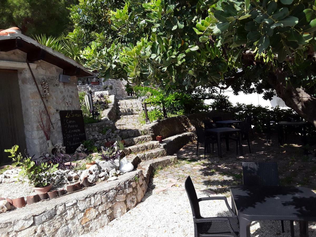 B&B La Scapola Mattinata Exterior foto